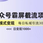 公众号霸屏截流项目+私域多渠道变现玩法，全网首发，日入1000+【揭秘】