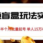 独家首发咸鱼盲盒玩法实操，半个月批量起号单人15万收益【揭秘】