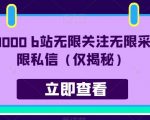 价值8000 b站无限关注无限采集无限私信（仅揭秘）