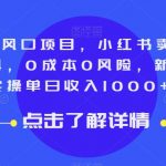 9月顶级风口项目，小红书卖公务员笔试资料，0成本0风险，新手小白实操单日收入1000+【揭秘】