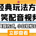 毁经典玩法方言搞笑配音视频，多种变现方式，小白轻松日入500+！