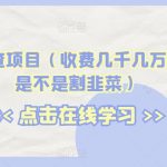 海外问卷调查项目（收费几千几万的项目到底是不是割韭菜）【揭秘】