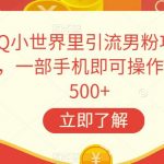 在QQ小世界里引流男粉项目新玩法，一部手机即可操作，一天500+【揭秘】