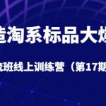 打造淘系标品大爆款引流班线上训练营（第17期）5天直播授课