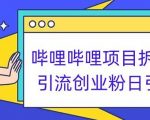 哔哩哔哩项目拆解引流创业粉日引300+小白可轻松上手【揭秘】