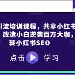 小红书引流培训课程，共享小红书流量密码，改造小白逆袭百万大咖，玩转小红书SEO