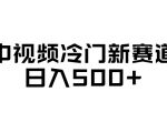 中视频冷门新赛道，做的人少，三天之内必起号，日入500+【揭秘】