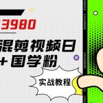 外面卖3980小红书混剪视频日引200+国学粉实战教程【揭秘】