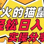 【首发实操教程】轻松日入1K的猫鼠游戏【软件+项目素材】【揭秘】