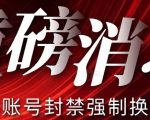 【最新】小红书账号封禁强制换绑技术可日赚300