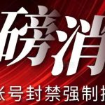 【最新】小红书账号封禁强制换绑技术可日赚300