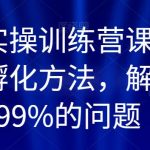 百万IP实操训练营课程，完整的IP孵化方法，解决做号99%的问题