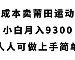 零成本卖莆田运动鞋，小白月入9300，人人可做上手简单【揭秘】