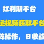 搬运视频获取平台收益，平台红利期，附保姆级教程【揭秘】