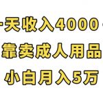 一天收入4000+，靠卖成人用品，小白轻松月入5万【揭秘】