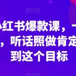 李鲆·小红书爆款课，十倍提升阅读量，听话照做肯定可以达到这个目标