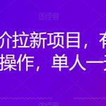 京喜特价拉新新玩法，有台电脑就可以操作，单人一天500+【揭秘】