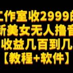 外面工作室收2999的项目最新美女无人撸音浪日收益几百到几千【教程+软件】（仅揭秘）