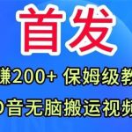 首发，抖音无脑搬运视频，日赚200+保姆级教学【揭秘】