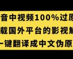 抖音中视频百分百过原创，下载国外平台的电影解说，一键翻译成中文获取收益