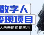 AI数字人短视频变现项目，43条作品涨粉11W+销量21万+【揭秘】