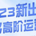 大炮·多多高阶运营课，3大玩法助力打造爆款，实操玩法直接亮出干货