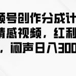 视频号创作分成计划之情感视频，红利项目，闷声日入300+