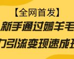 【全网首发】新手通过薅羊毛暴力引流变现速成玩法