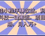 短剧挂小程序赚收益，利用软件黑科技一键搬运，项目红利期，月入万+【揭秘】