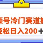 视频号最新冷门赛道搬运玩法，轻松日入200+【揭秘】