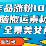 7个作品涨粉10W+，无脑搬运素材，全景美女视频爆款玩法分享【揭秘】