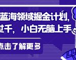 视频号蓝海领域掘金计划，日入过千，小白无脑上手【揭秘】