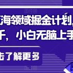 视频号蓝海领域掘金计划，日入过千，小白无脑上手【揭秘】