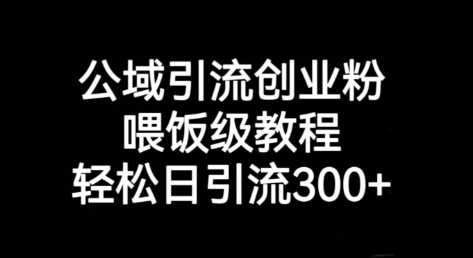 公域引流创业粉，喂饭级教程，轻松日引流300+【揭秘】