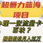 超暴力蓝海项目，办理一张流量卡一百块？轻轻松松月入过万，保姆级教程【揭秘】