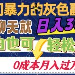 冷门暴利的副业项目，聊聊天就能日入300+，0成本月入过万【揭秘】