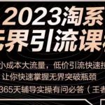 2023淘系无界引流实操课程，​小成本大流量，低价引流快速拉新收割，让你快速掌握无界突破瓶颈