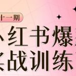 小红书博主爆款训练营第11期，手把手教你从0-1做小红书，从定位到起号到变现