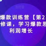 2023淘宝爆款训练营【第2期】，电商运营的必修课，学习爆款思路，实现利润增长