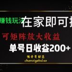 靠聊天赚钱，在家就能做，可矩阵放大收益，单号日利润200+美滋滋【揭秘】