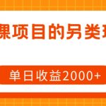 网课项目的另类玩法，单日收益2000+【揭秘】