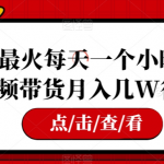 全网最火每天一个小时，借鉴视频带货月入几W很轻松【揭秘】