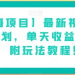 【蓝海项目】最新视频号分成计划，单天收益8000+，附玩法教程！