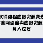 软件教程虚拟资源变现：带你全网引流卖虚拟资源软件，月入过万（11节课）