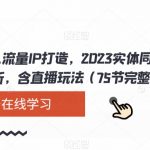 实体店个人流量IP打造，2023实体同城引流获客必听，含直播玩法（75节完整版）