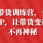 素人IP带货训练营，全平台最强带货IP，让带货变得简单、不再神秘