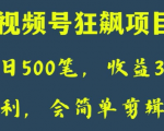 日收款500笔，纯利润3000+，视频号狂飙项目，会简单剪辑就能做【揭秘】