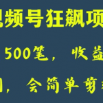 日收款500笔，纯利润3000+，视频号狂飙项目，会简单剪辑就能做【揭秘】