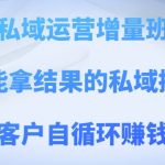 私域运营增量班，培养能拿结果的私域操盘手，打造客户自循环赚钱系统