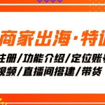 Tk商家出海·特训营：ID注册/功能介绍/定位账号/爆款视频/直播间搭建/带货